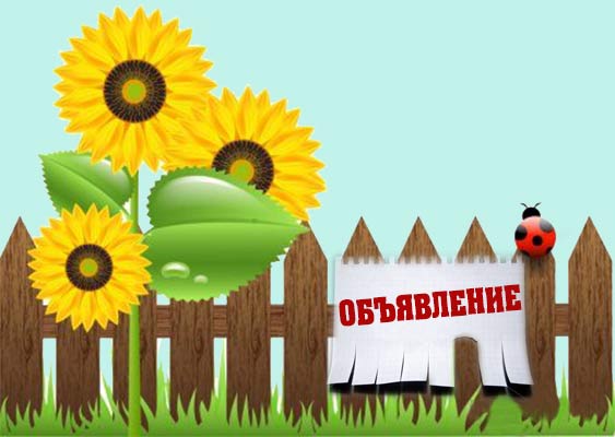 Расклейка объявлений